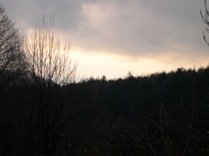 Hillside Serra San Bruno